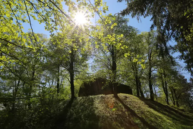 Herzlich Willkommen in Sulzbach-Laufen